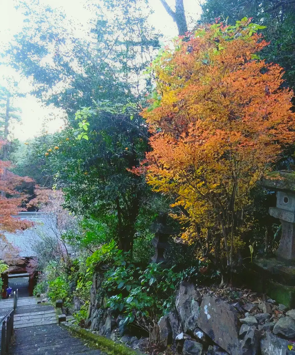 太平山の紅葉の風景