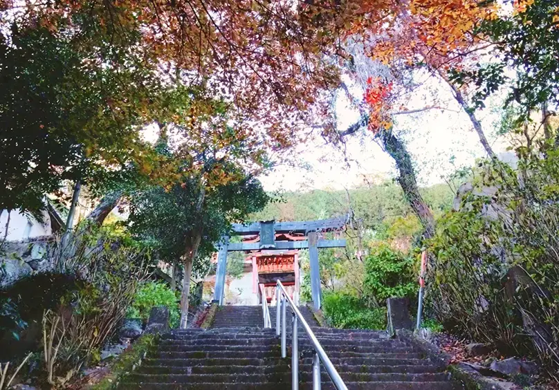 太平山の紅葉の風景