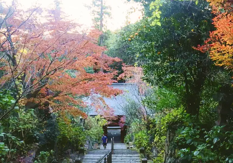 太平山の紅葉の風景
