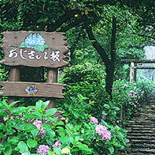 あじさい坂