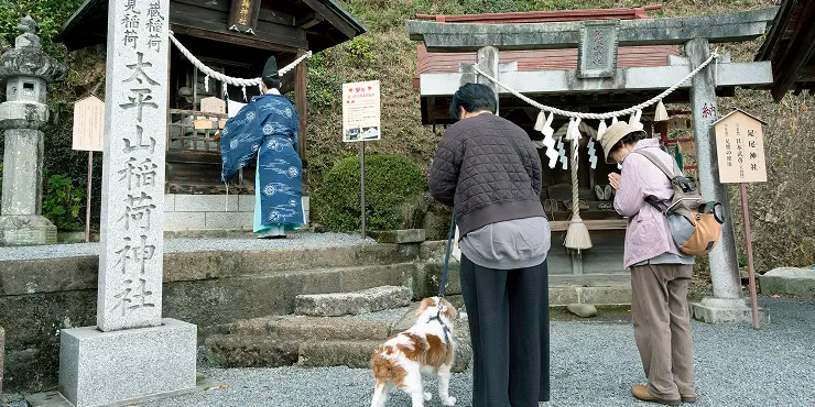 ペット御祈祷の写真